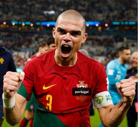 欧洲杯葡萄牙阵容解析佩佩